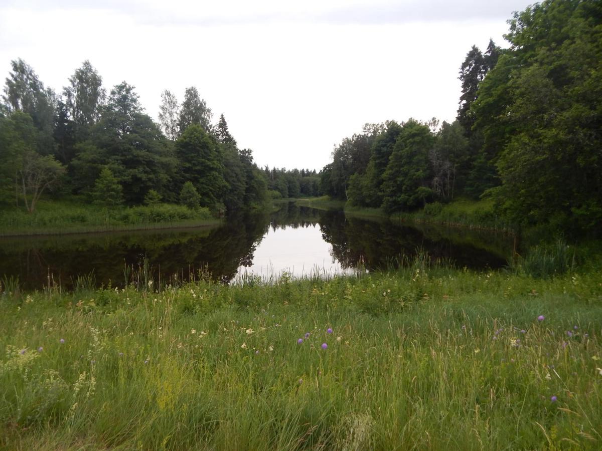 Haaviku Nature Cottage Tepelvalja Экстерьер фото